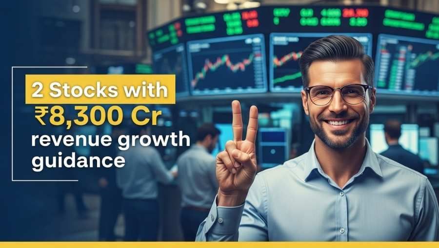 2 Stock With 8300 Cr Revenue Growth Target
